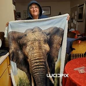 Meet your Posher, Kellie